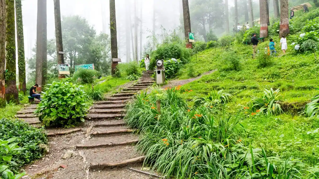 Destination