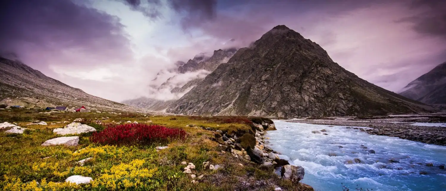 Valley Of Flowers